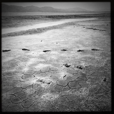 alchemical process photography footprints